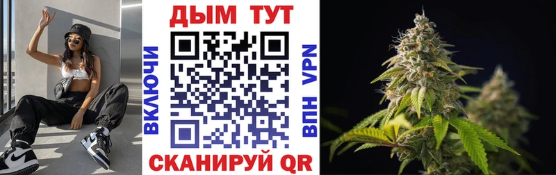 Купить закладки Вышний Волочёк Шишки марихуана марихуана